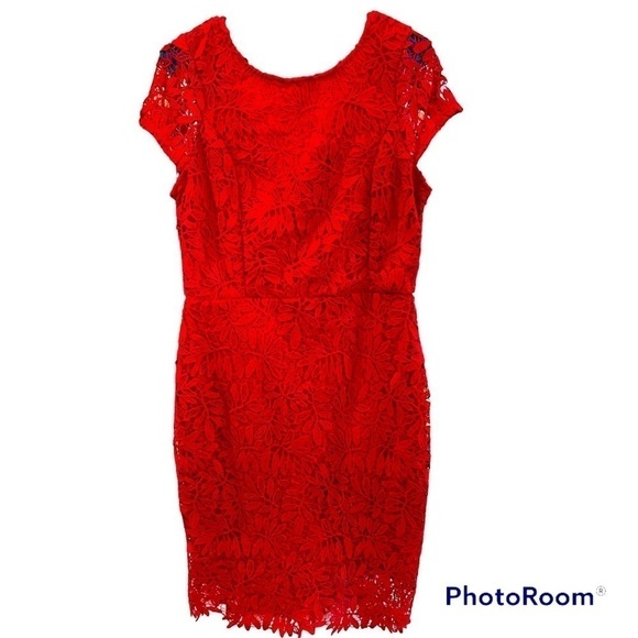 Lulus Magenta Lace Bodycon Dress Large - Picture 2 of 3